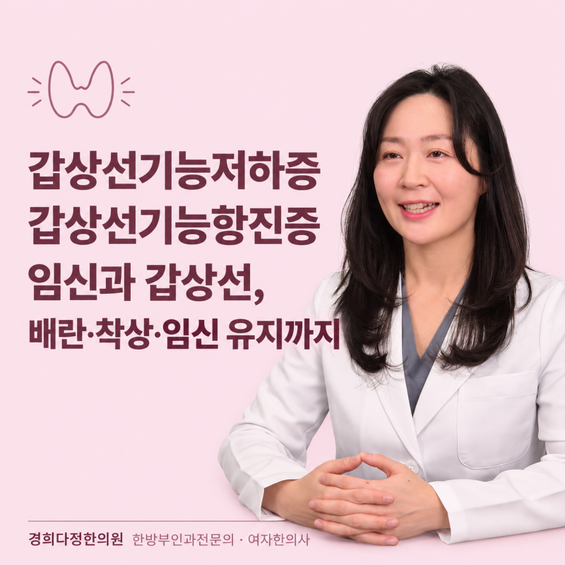 갑상선기능저하증 임신, 갑상선기능항진증 임신 – 배란·착상·임신 유지까지