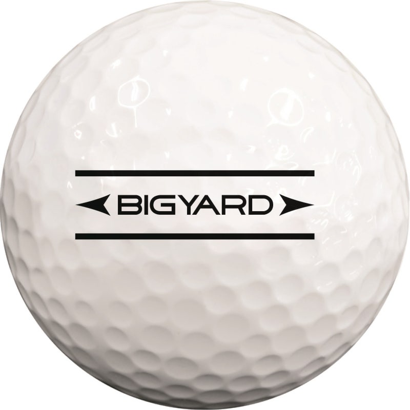 넥센 빅야드 빅스타 골프공 직접 써본 후기