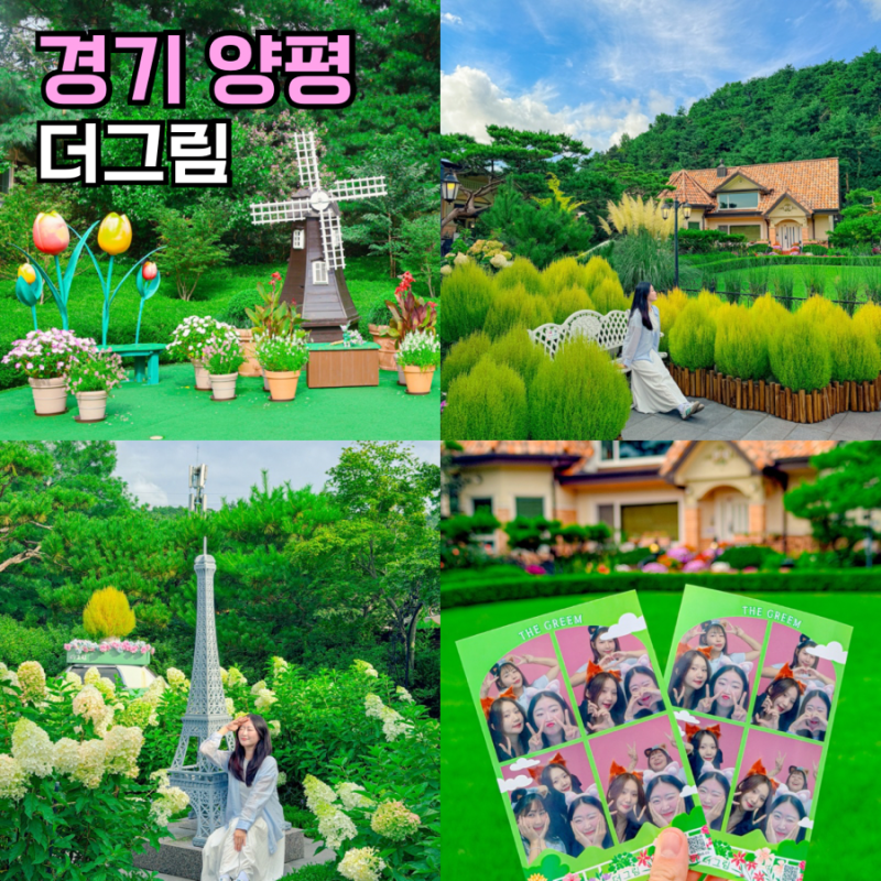 양평가볼만한곳 더그림 수국 놀거리 서울근교갈만한곳 9월