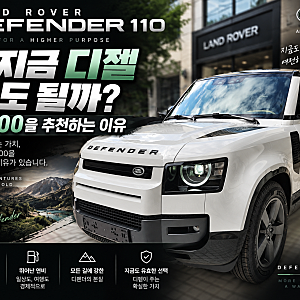 디펜더 110, 지금 디젤을 사도 될까?｜그래도 D300을 추천하는 이유