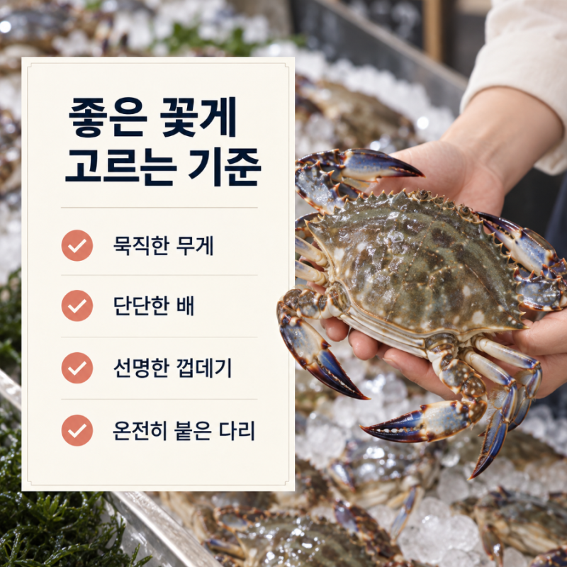 가을 꽃게 제철은 언제까지? 맛있는 시기와 고르는 법