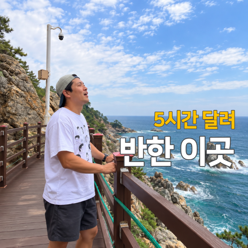 나혼자산다 김대호 삼척 어디? 5시간 달려 도착하자마자 반한 "이곳"