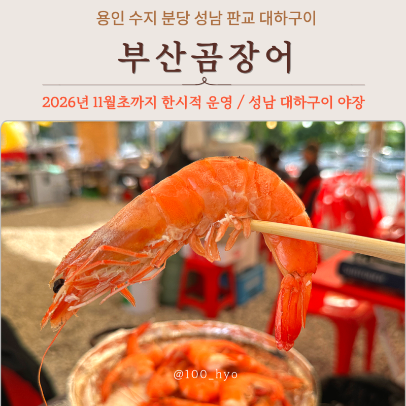 용인 분당 성남 판교 수지 동천동 대하구이 야장 맛집(11월초까지 운영) 위치 및 가격 안내