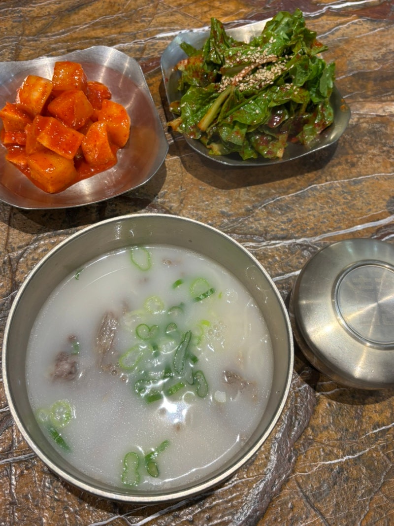 [광주터미널 맛집] 여기 설렁탕, 진짜 잘하네 서울깍두기 유스퀘어점