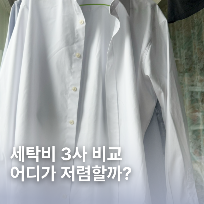 크린토피아 vs 런드리고 vs 세탁특공대 가격 비교 | 정장·패딩 세탁비 차이