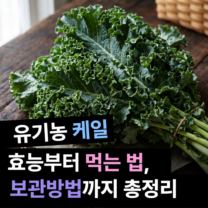 유기농 컬리케일에 비타민K 하루 권장량 5배? 먹는법 3가지와 못 먹는 사람
