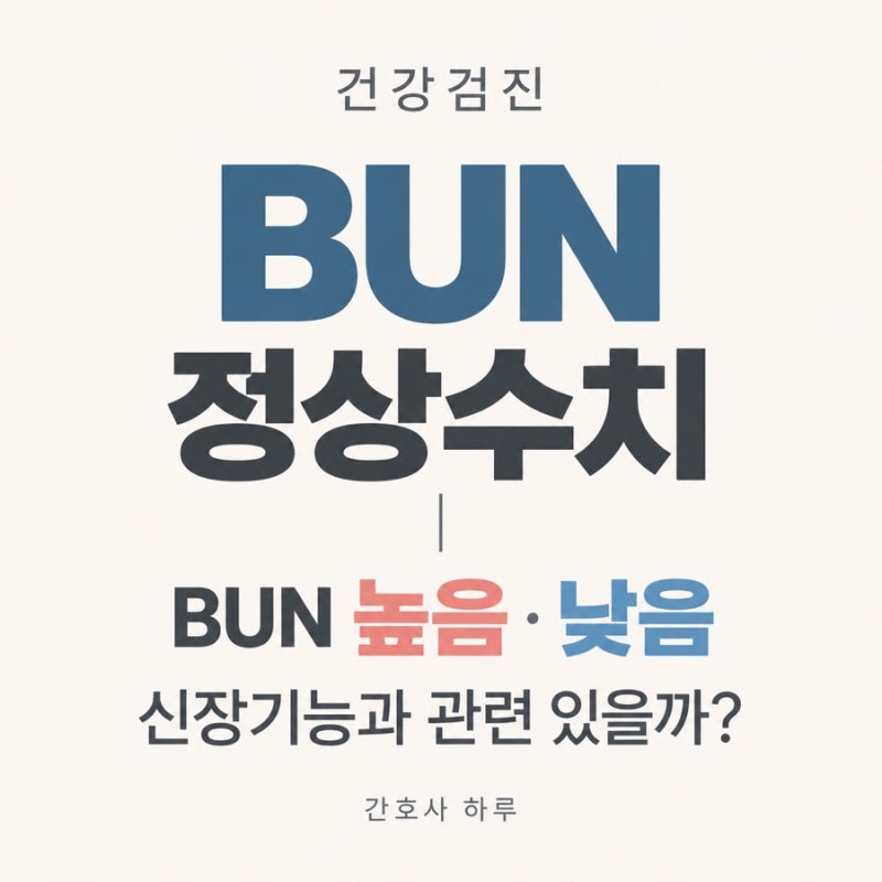 건강검진 BUN 정상수치｜BUN 높음·낮음, 신장기능과 관련 있을까?