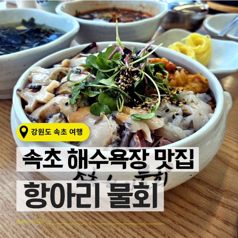 속초해수욕장 맛집 아침식사하기 좋은 속초아이 근처 항아리물회 주차도 편해요