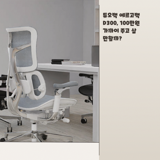 듀오백 D300 고급 의자, 사무실 편안함 달라질까