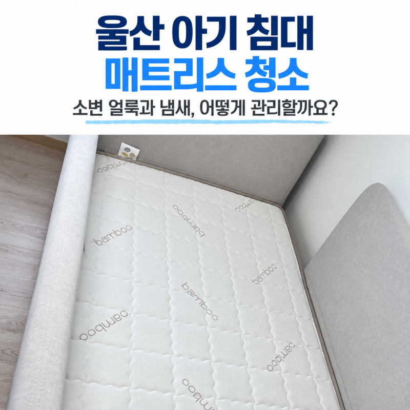 울산 아기 침대 매트리스 청소 소변 얼룩과 냄새가 남았을 때 대처법