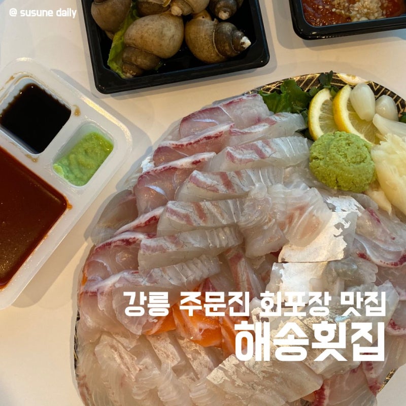 강릉 주문진 회포장 맛집 해송횟집 | 오마카세 모둠회 후기와 예약방법