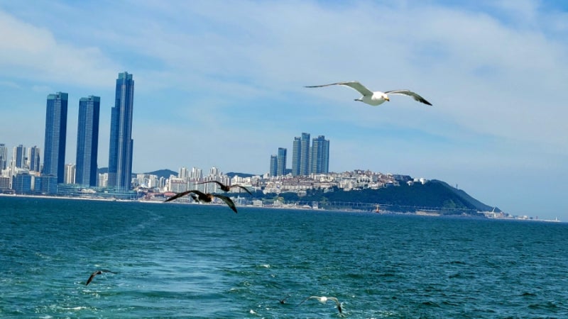 [부산 여행] 바다 위에서 즐기는 환상의 세계, 해운대 관광유람선 오륙도 코스 완벽 가이드! |....