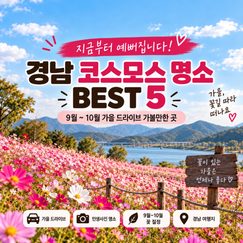 지금부터 예뻐집니다! 2026 경남 코스모스 명소 BEST 5