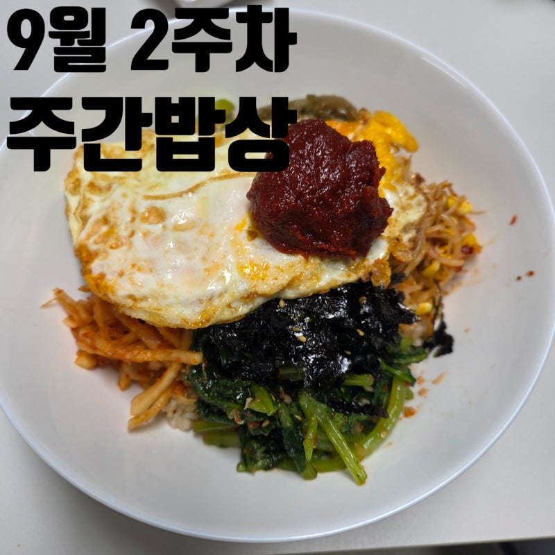 [일상/주간밥상] 9월 2주차 3인식구 주간밥상