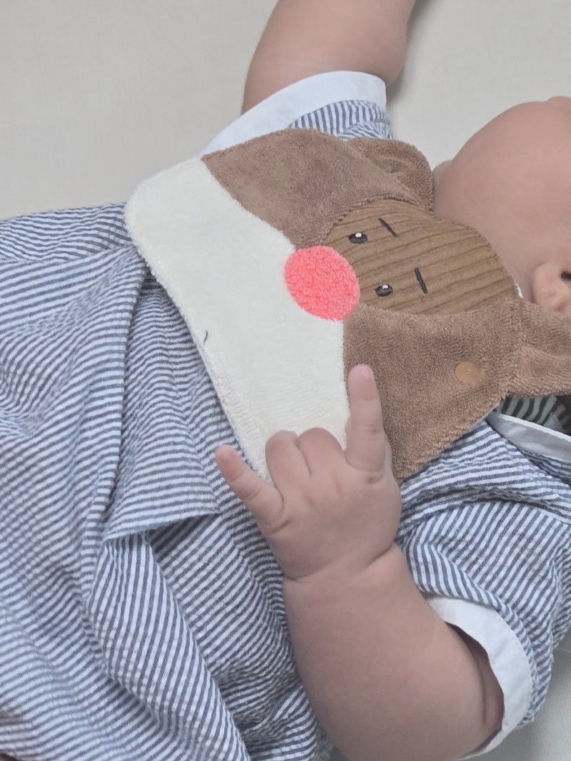 요즘 핫한 아기 빕, 구하기 힘들다는 아프리콧스튜디오 빕 선물 받았어요
