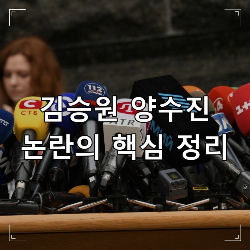 김승원 양수진 논란, 사건의 중심 무엇인지 정리