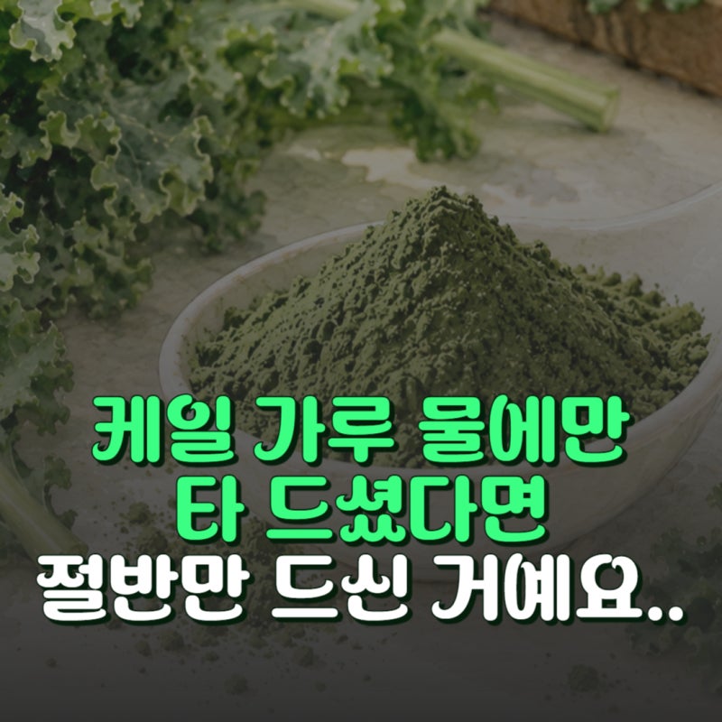 케일 가루 100g 칼로리는? 효능 높이고 부작용 낮추는 꿀팁