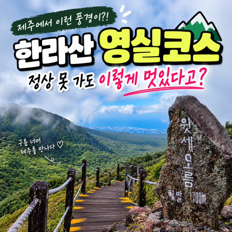 Hallasan Yeongsil Trail Review: After Going to Witseoreum, A Complete Guide from Parking to Entry Time