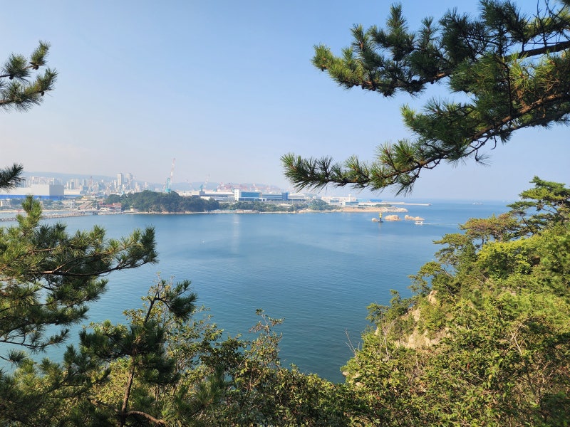 고향 가는 길 - 김용임 가사 노래 한 곡