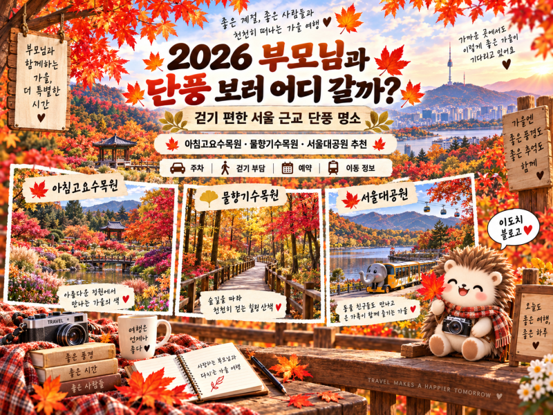 2026년 부모님과 단풍 보러 어디 갈까?｜걷기 편한 서울 근교 단풍 명소·주차 총정리