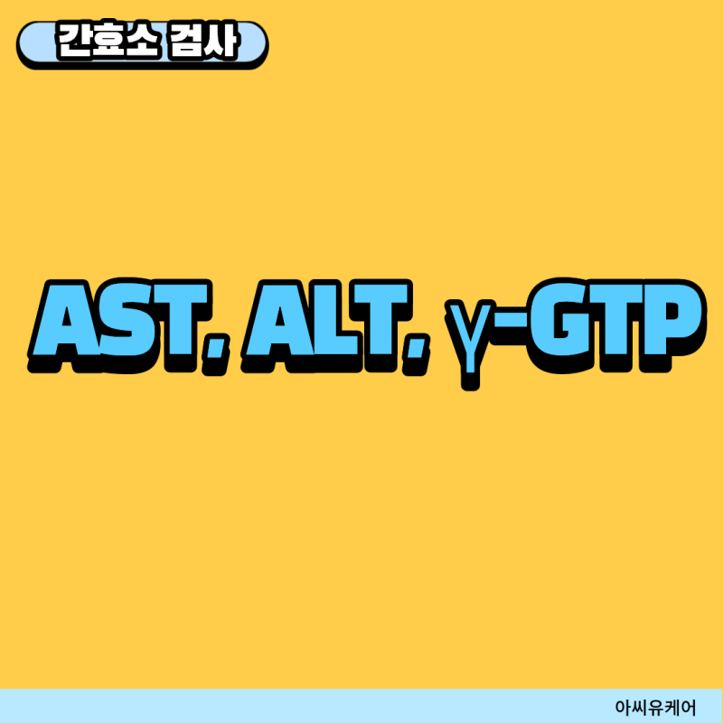 간효소 검사 종류와 의미｜AST, ALT, γ-GTP 쉽게 알아보기