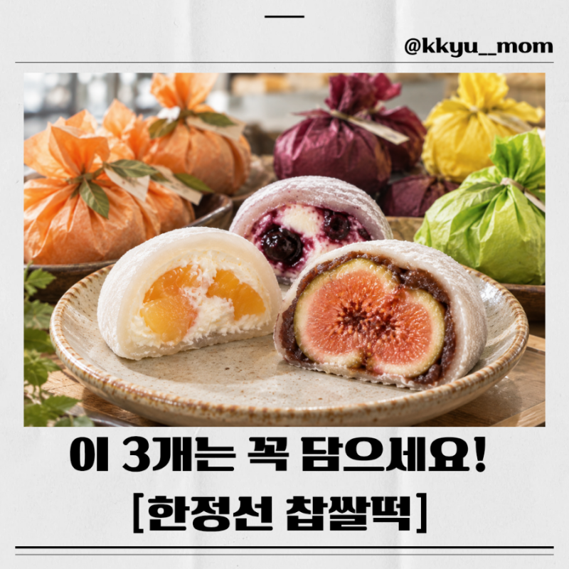 한정선 찹쌀떡 메뉴 추천 가격, 요거트·두바이·무화과 중 진짜 뭐가 맛있을까?