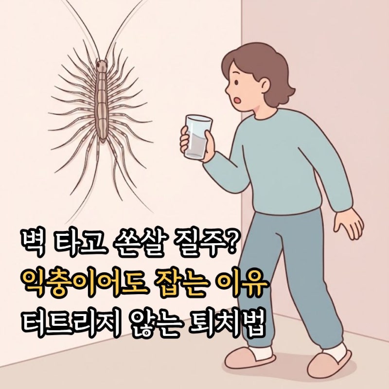 그리마 돈벌레 나오는 이유와 퇴치법! 익충인데 죽이면 안 될까? 물림 의혹과 잡는법 총정리