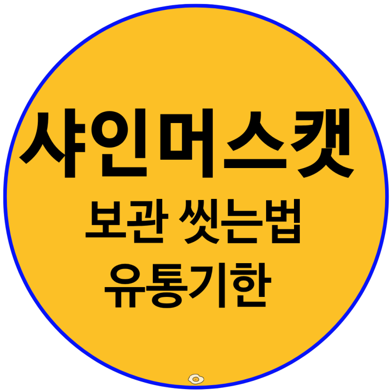 샤인머스캣 유통기한 얼마나 될까? 고르는법 보관법 씻는법 정리