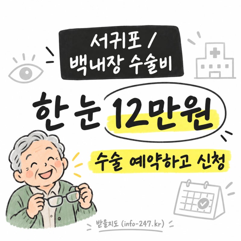 제주 서귀포 백내장 수술비 12만원, 1년에 한 안구만 지원됩니다
