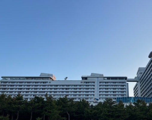 세인트존스 호텔, 강릉 바다 앞 수영장·조식·객실·반려견 동반 후기