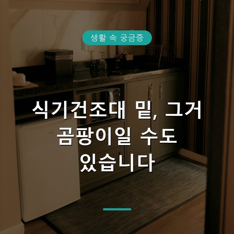 식기건조대 물때 곰팡이 생기는 이유와 청소 관리법