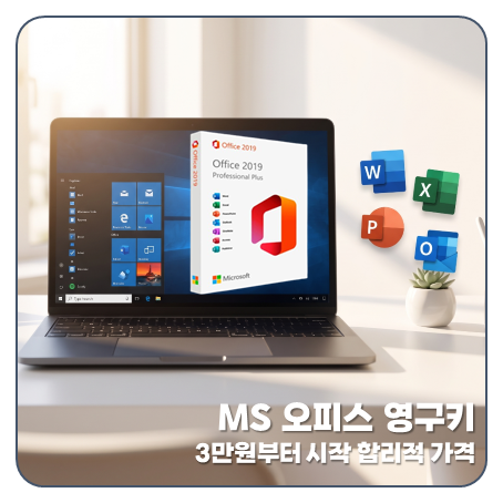 "3만원부터 영구 정품키" MS 오피스 2019 마이크로소프트 365 구독 가성비 비교
