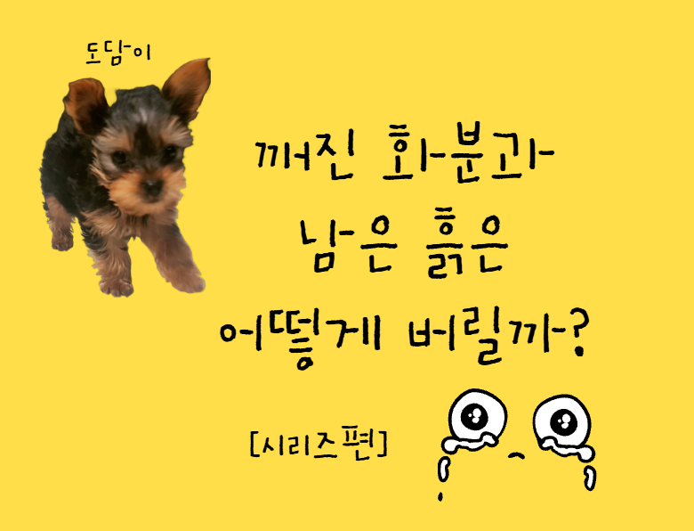 깨진 화분과 남은 흙은 어떻게 버릴까? 화분 흙을 아파트 화단에 버려도 될까?