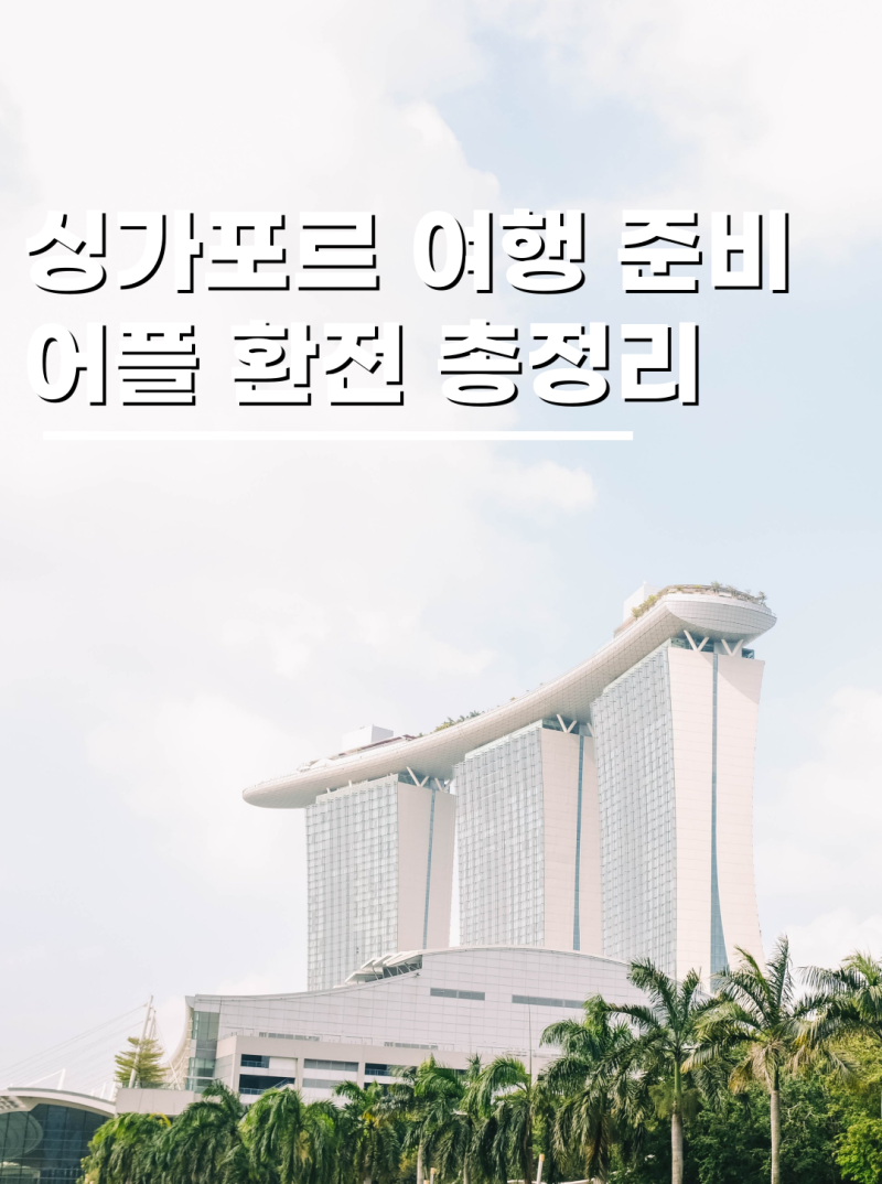 싱가포르 여행 준비물 입국신고서 어플 유심 총정리