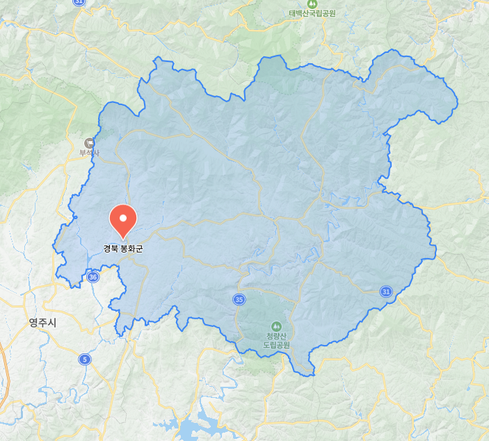 경북 봉화군 맛집, 노포부터 현지인 맛집까지