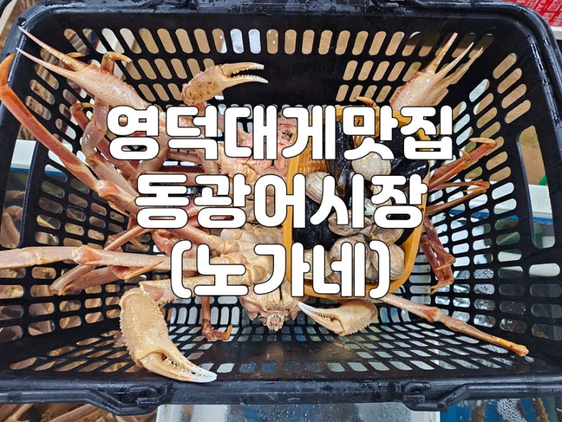 [영덕대게맛집] 영덕 동강어시장 노가네, 충무식당 - 영덕 동광어시장 대게 맛집추천, 영덕 ....