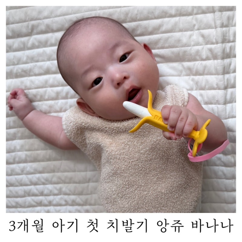 3개월 아기 첫 치발기 앙쥬 바나나 치발기 사용해 본 후기