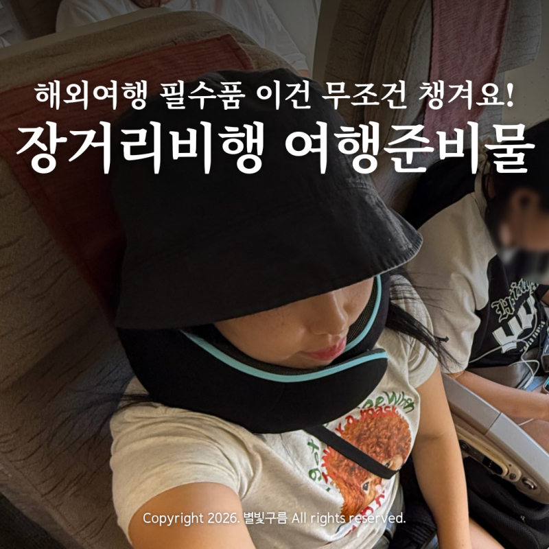 해외여행 필수품 무조건 챙기는 여행 용품 장거리 비행 준비물 기내용 목베개 추천