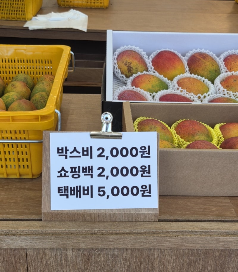 제주 애플망고 가격 비교, 어디서 사야 저렴할까? 명절 선물로 준비하기