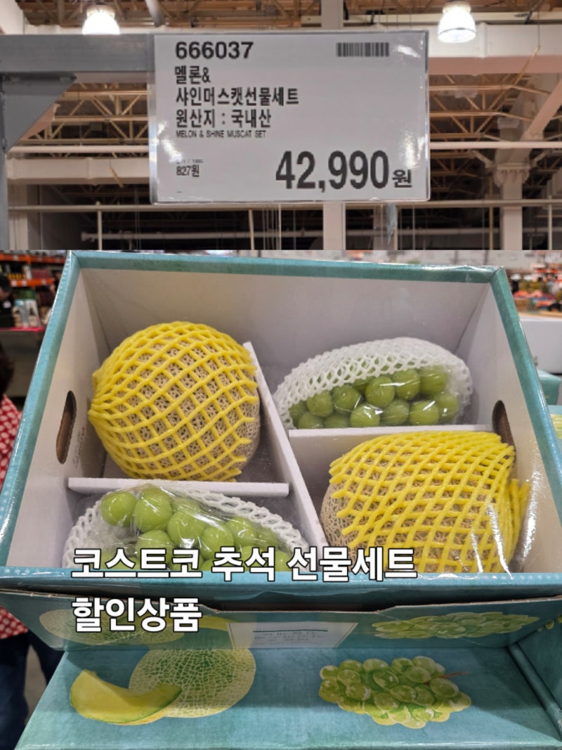 코스트코 대구혁신 9월 추석선물 할인 에어프라이어 할인상품