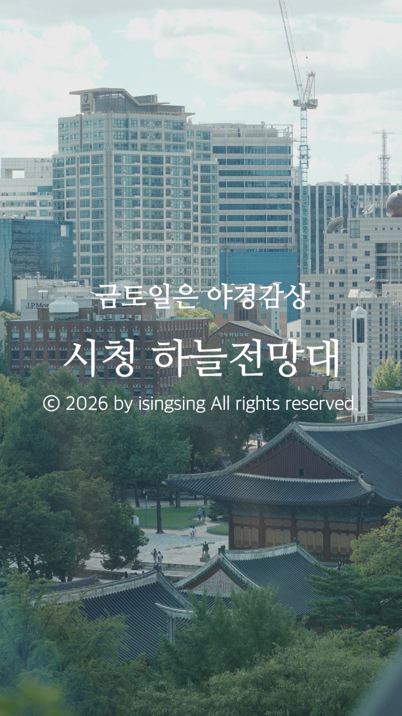 서울시청 하늘전망대/ 운영시간 야간개방, 위치, 가는법