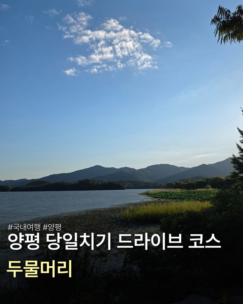 양평 두물머리 당일치기 드라이브 데이트 코스 용문사 지평양조장까지