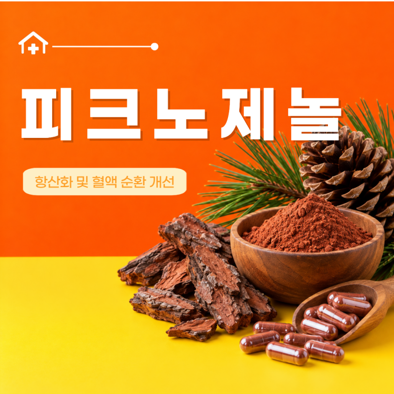 피크노제놀 효능 8가지 복용법 부작용