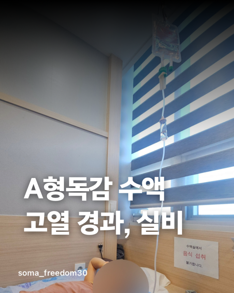 a형 독감 수액 가격 및 현대해상 실비 청구 후기, 4살 아이 증상과 고열 변화
