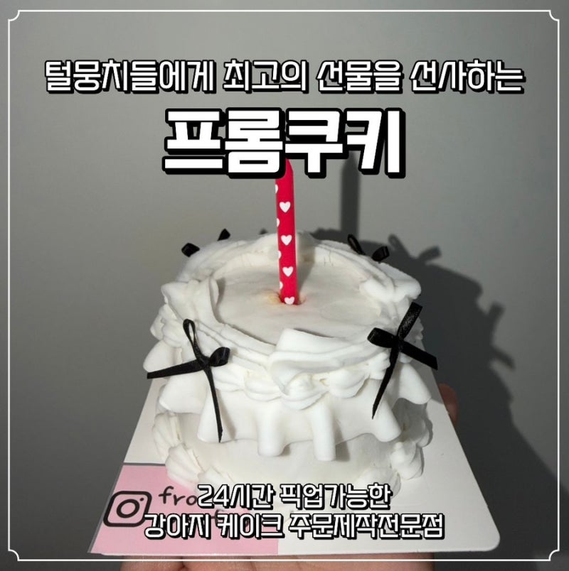 [대전/서구] 대전 24시간 픽업가능한 강아지주문제작케이크매장 추천: 프롬쿠키