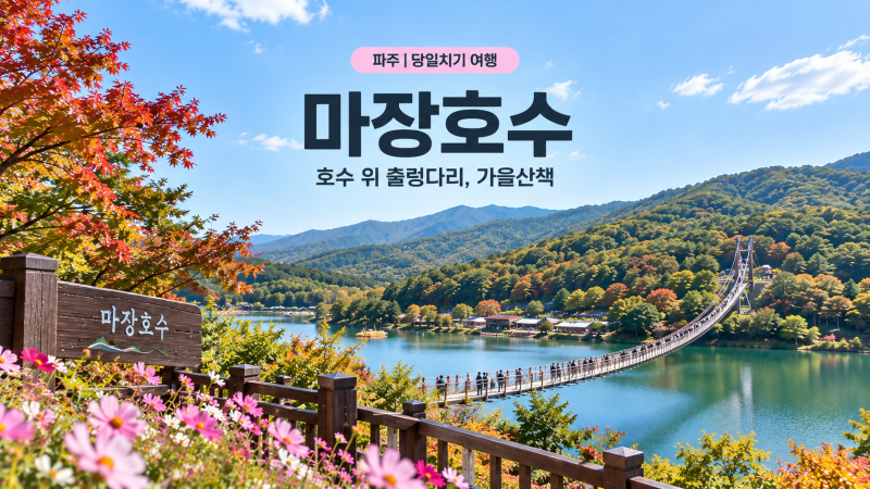 서울근교 9월 당일치기 | 가을꽃·드라이브 명소 BEST 7
