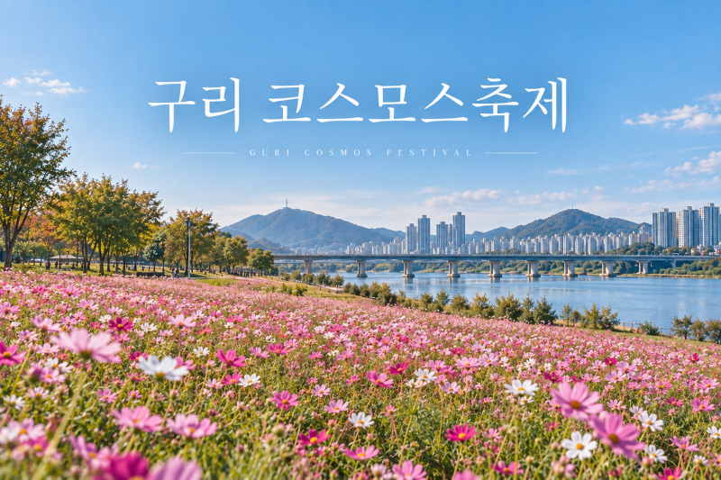 2026 구리 코스모스축제 일정 주차 개화시기 총정리｜구리 가볼만한곳