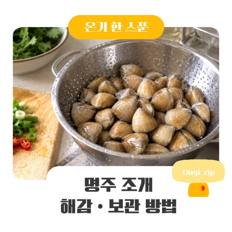 명주조개 해감할 때 알아둘 것, 손질과 보관 먹는 법까지