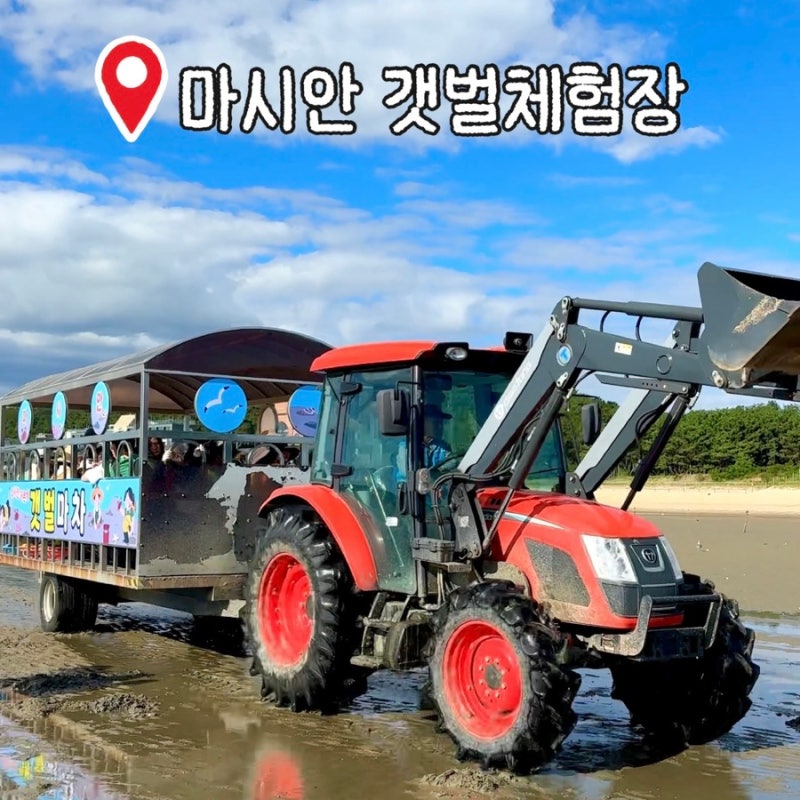 서울근교 영종도 마시안 갯벌체험 물때 주차장 준비물 맛집 총정리