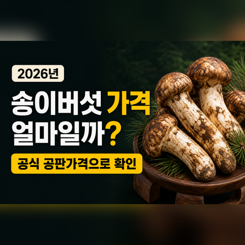 2026년 송이버섯 가격은 얼마일까?｜공식 공판가격으로 확인해보니